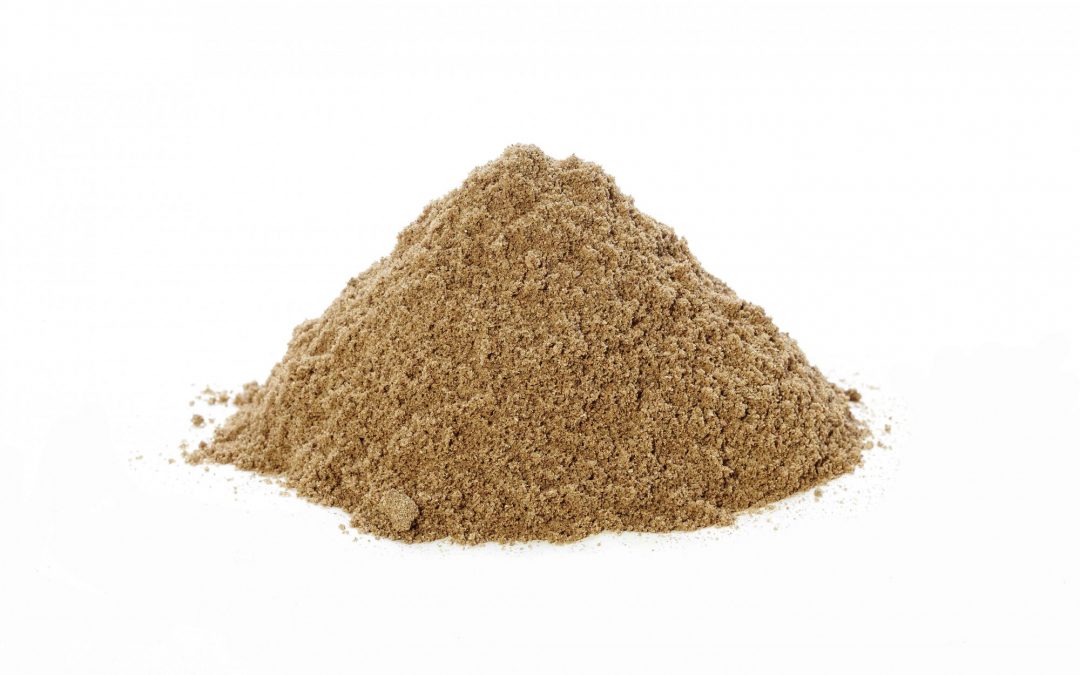 Sand Belongs on the Beach … Not in our Clubhouse