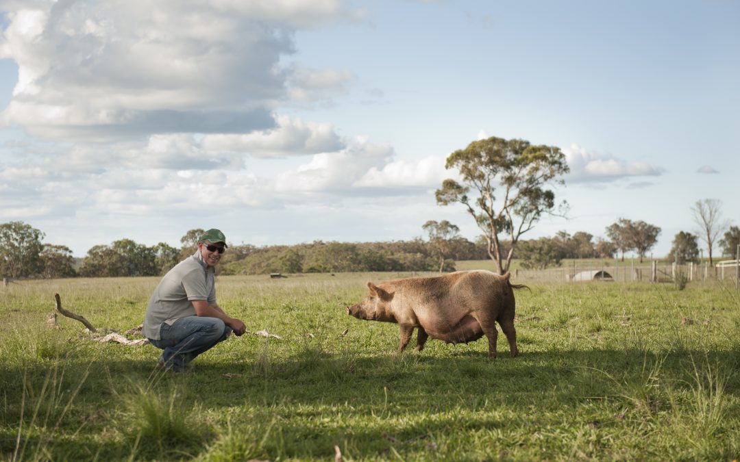 Meet Ben “The Free Range Butcher”