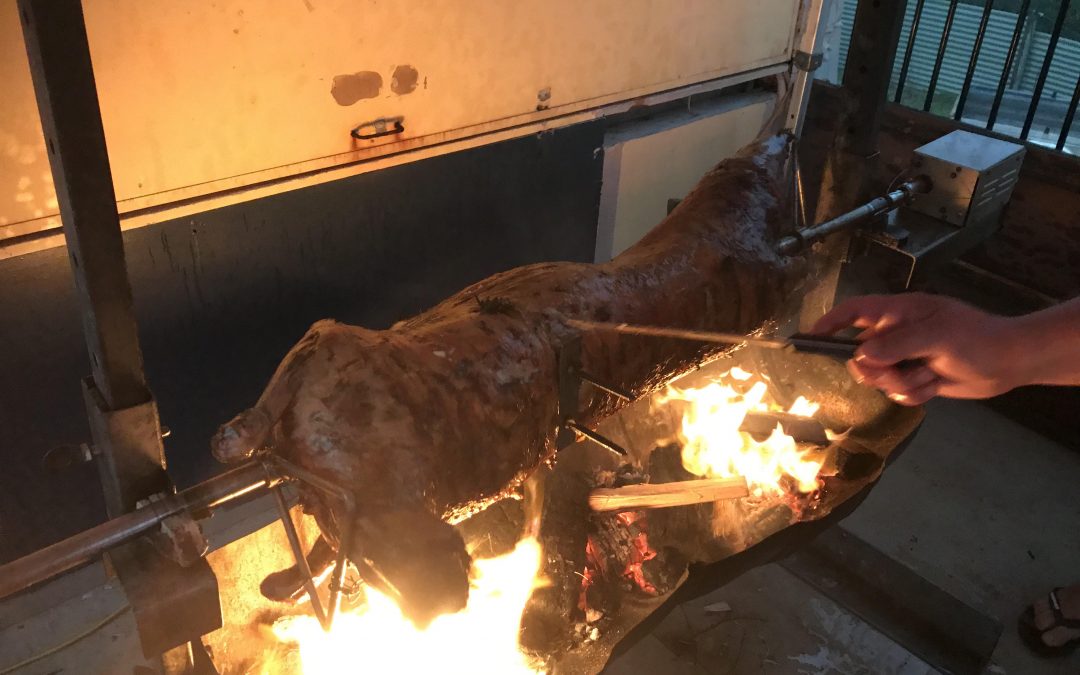 Roast lamb saves the night!