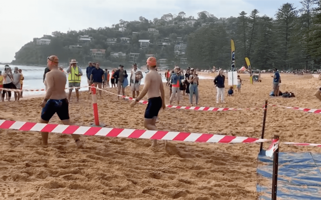 Sea Monkeys Strut into The Big Swim